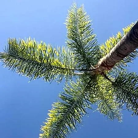 فندق Sea ماربيا